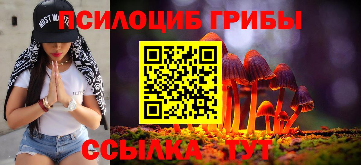 Чапаевск  Псилоцибиновые грибы ЛСД  Вход с VPN 